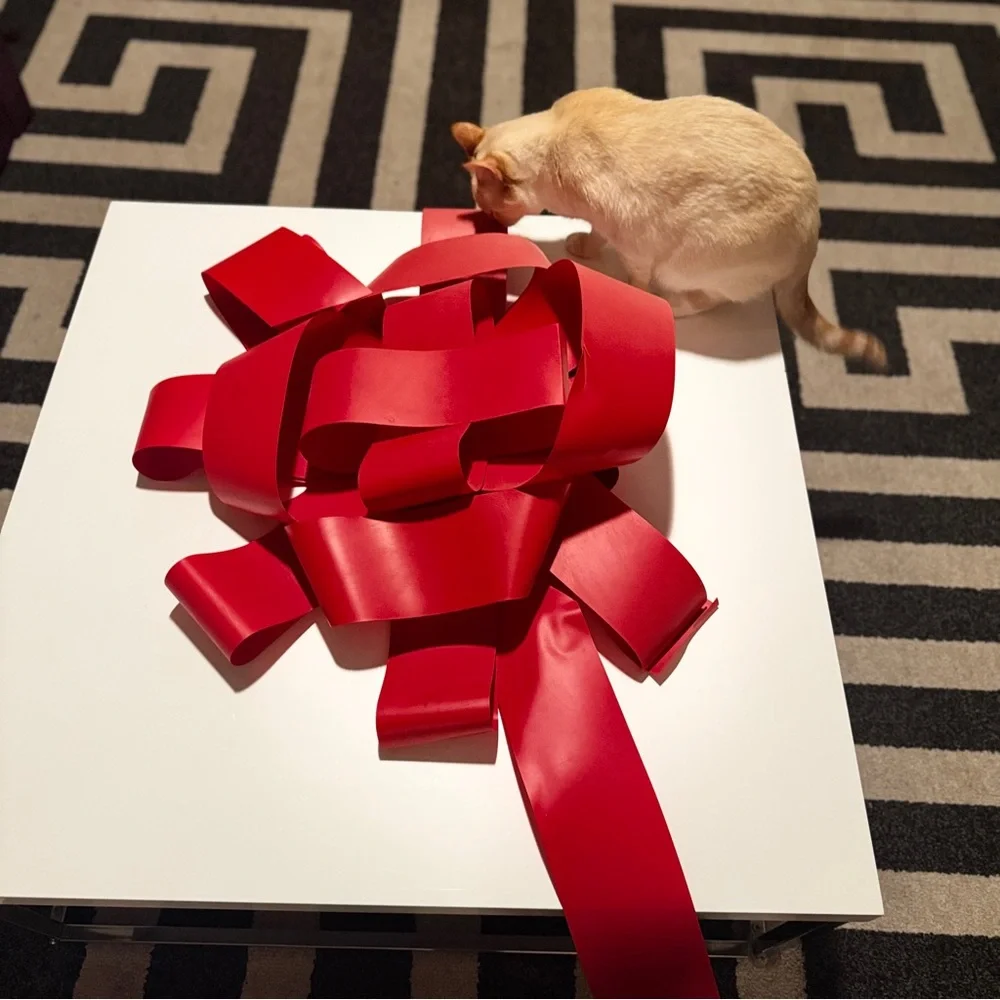 Elegant Red Ribbon Gift Box - Picture 15 of 16